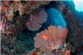 maldive crociere