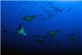 maldive crociere