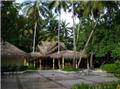 coconut_bar