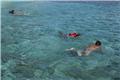 snorkeling 1