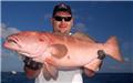 pesca 4